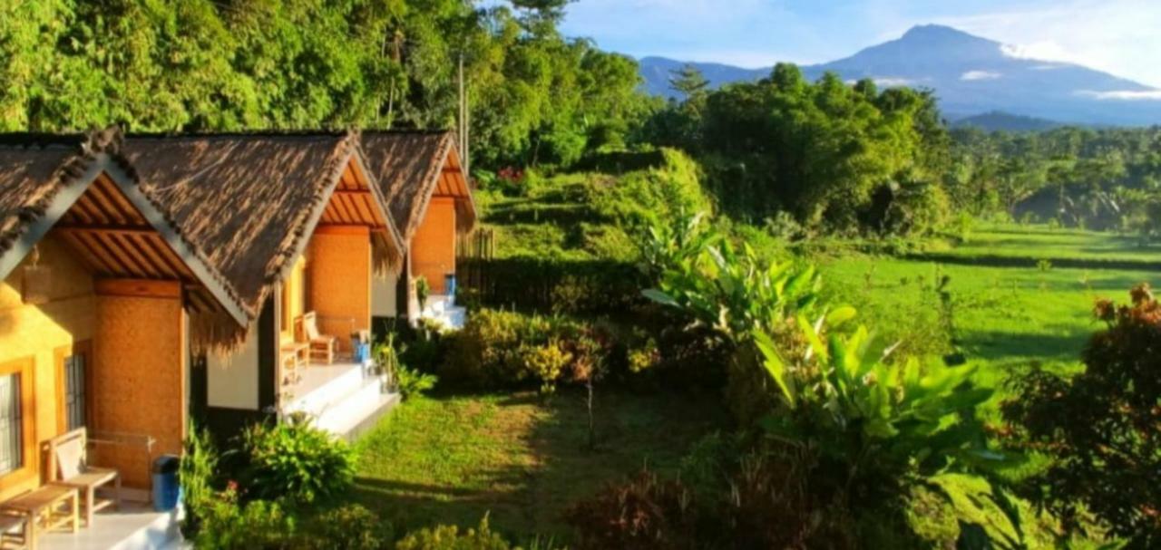 Aryasuta Bungalow Tetebatu Kültér fotó